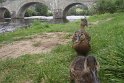 107IMG_9474
