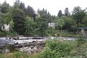 113IMG_9485