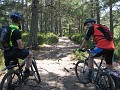 Rothiemurchus Forest.