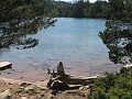 Near Loch Morlich.