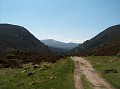 Looking back to Glenmore Lodge from Ryvoan Bothy.