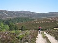 Heading downhill from Ryvoan Bothy to Abernethy Forest.