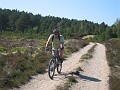 On the way down to Forest Lodge, Abernethy Forest.